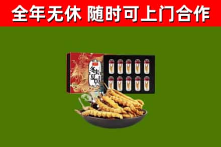 九江市回收冬虫夏草价格